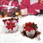 【猫用 花冠&ポンチョ】2021クリスマスセット🎄レッド