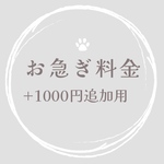 mayu19951006様専用ページ◎アイシングクッキー20個オーダー