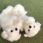 オーダー品　おでかけちゃんマルチーズ2体　※送料無料