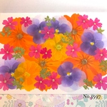♡new♡作家様必見♡押し花MIXセット♡押し花セット