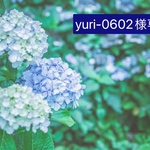 yuri-0602様専用ページです。