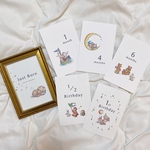 マンスリーカード