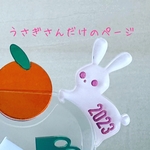 うさぎさんだけ