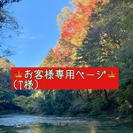🎄お客様専用ページ🎅(T様)
