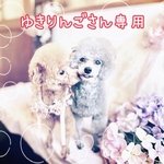 ゆきりんごさん専用です♪