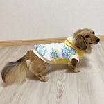 再販🐶犬服【お花のリース柄フリース×裏毛ニットパーカー🌼イエロー】