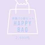 2023꙳ ☽Happy Bag 耳飾り3点セット
