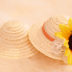 麦わら帽子ひまわり