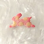 rabbit cookie/Dot