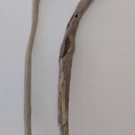 mimi様専用ページ　流木２本セット　約１３４．５ｃｍ、１３４ｃｍ