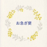 お急ぎ便
