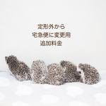 宅急便用追加料金