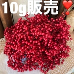 お得な10g販売❣️艶やかレッドペッパーベリークィーンレッド小分け❣️ハンドメイド花材ドライフラワー