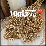 お得な10g販売❣️ 綺麗色ピュアゴールド❣️ペッパーベリー新色小分け❣️ハンドメイド花材カラードライフラワー