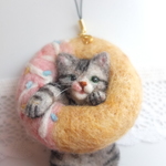 ドーナツの穴ごちそうさま！アメショ猫　羊毛