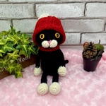 『冬来たฅ( ̳• ·̫ • ̳ฅ)にゃ♡』世界で１匹のあみぐるみねこちゃん❤️(黒猫)