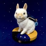 お月様組 🌕会員No.1🐇