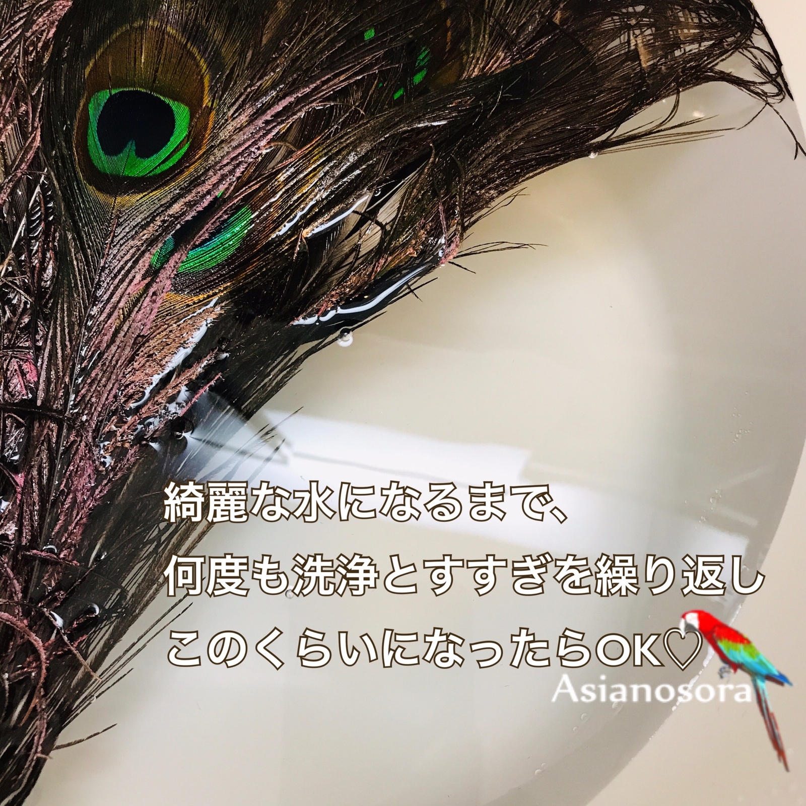 クジャク 10枚】 高品質 孔雀の羽根 目玉 ハンドメイド アクセサリー ...