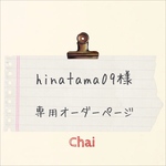hinatama09様　専用オーダー分 ケース 