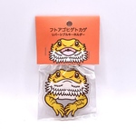 フトアゴヒゲトカゲ(レッド) キーホルダー