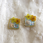 春夏☆押花×貝殻ピアス