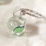 ジンライムのリング