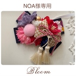 NOA様専用ページ