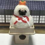 お正月♪鏡餅パグちゃん