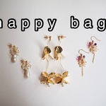中身が見えるhappy bag  クリスマスまでに届く！accessory box