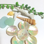 再販!!〜＊海の贈り物＊〜 貝殻ボタン〜