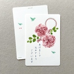 菊と南天の年賀状 あけましておめでとう 5枚組