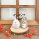 Maryさまご注文品⭐︎