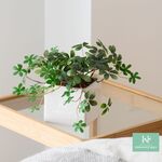HANAYUKI 人工観葉植物 フェイクグリーン シュガーバイン 23cm 光触媒加工 卓上サイズ (グリーン）