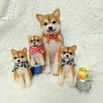 🎀ご予約のお客様専用ページ　柴犬