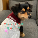 ⭐️Chees5212様専用ページ⭐️