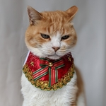ストライプリボンXmasドレス