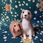 jun104様ご依頼品 ダックスちゃんビーグルちゃん
