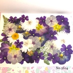 ♡new♡作家様必見♡押し花MIXセット♡押し花セット