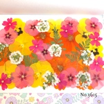 ♡new♡作家様必見♡押し花MIXセット♡押し花セット