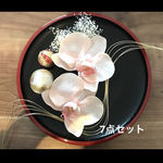 胡蝶蘭髪飾り成人式和装振袖髪飾りセット