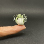 ミニチュア陶器　しずく型植木鉢と植物