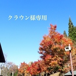 <専用ページ>〜クラウン様〜他の方はご遠慮下さい。