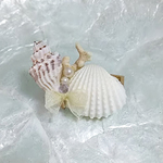 ＊貝殻のブローチ＊