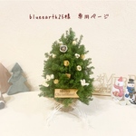 ༜ blueearth25様　専用ページ༜