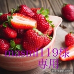 🍓masmi119様専用ページ🍓