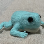 カエルメジャー イエアメガエル次男🐸