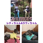 norinori4613様専用カート