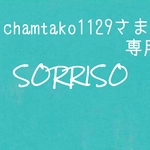 専用ページ♪