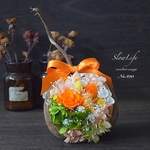 大切な人へ伝えたい想い 幸せの木の実 ♡ ブッダナッツ・アレンジ No.420 m ブッタナッツ　クリスマス 誕生日 母の日　父の日　結婚　お祝い　引越し　就職　お別れ　転勤　