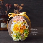 一年のありがとうの思いを込めて贈る 幸せの木の実 ♡ ブッダナッツ・アレンジ No.422 m ブッタナッツ　クリスマス 誕生日 母の日　父の日　結婚　お祝い　引越し　就職　お別れ　転勤　